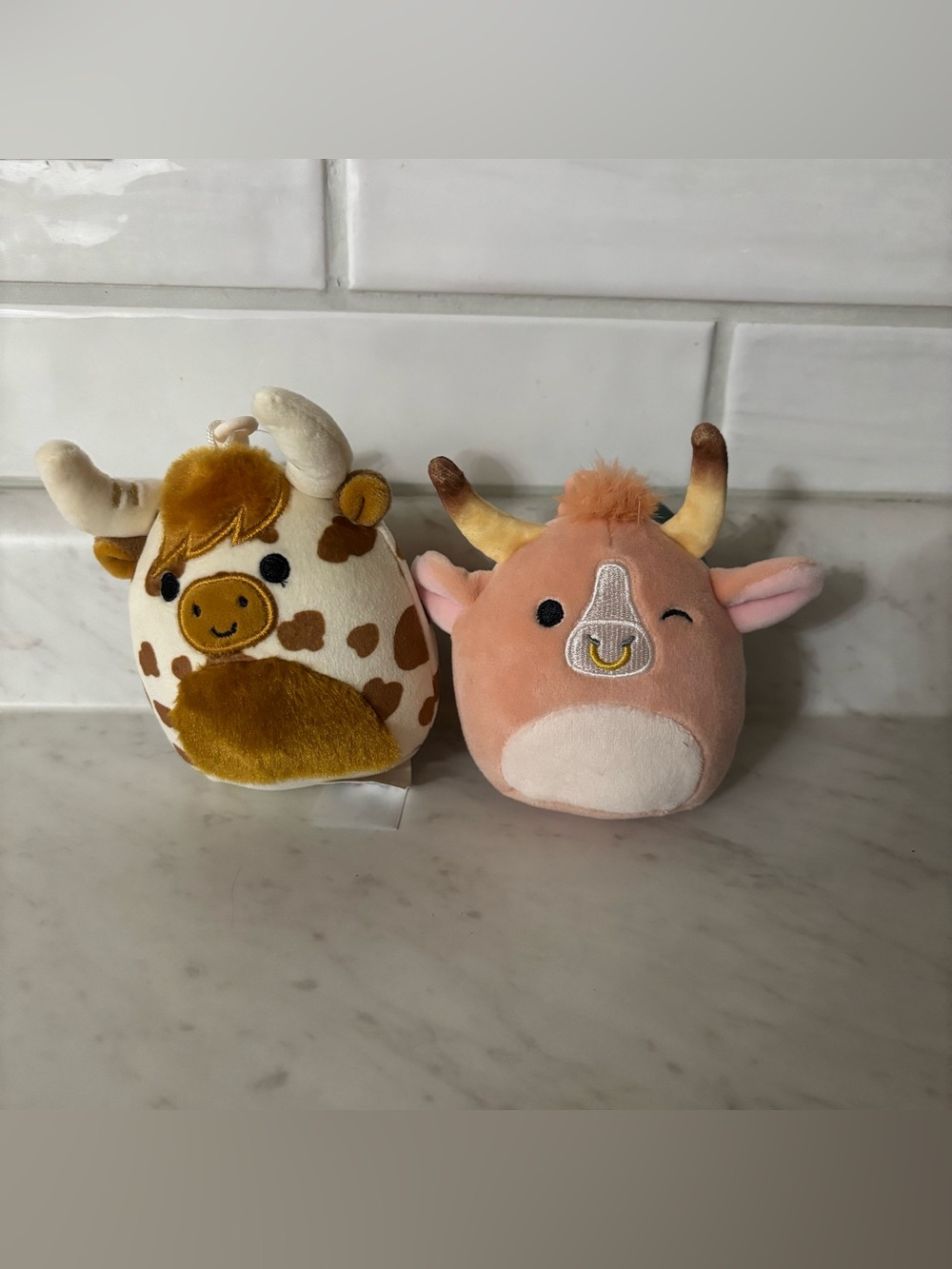 Highland Cow Squishmallow Bundle